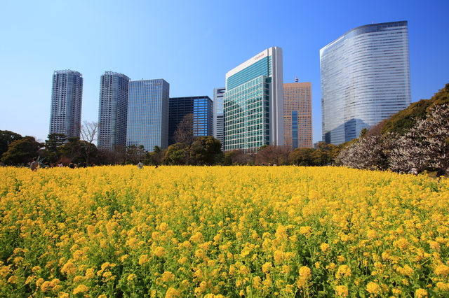 未経験で広告業界への転職を成功に導く秘訣と利用すべき転職エージェントまとめ